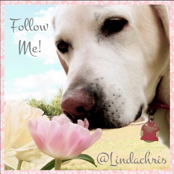 🐾.Follow Game Please Share🐾 - Picture 2 of 2